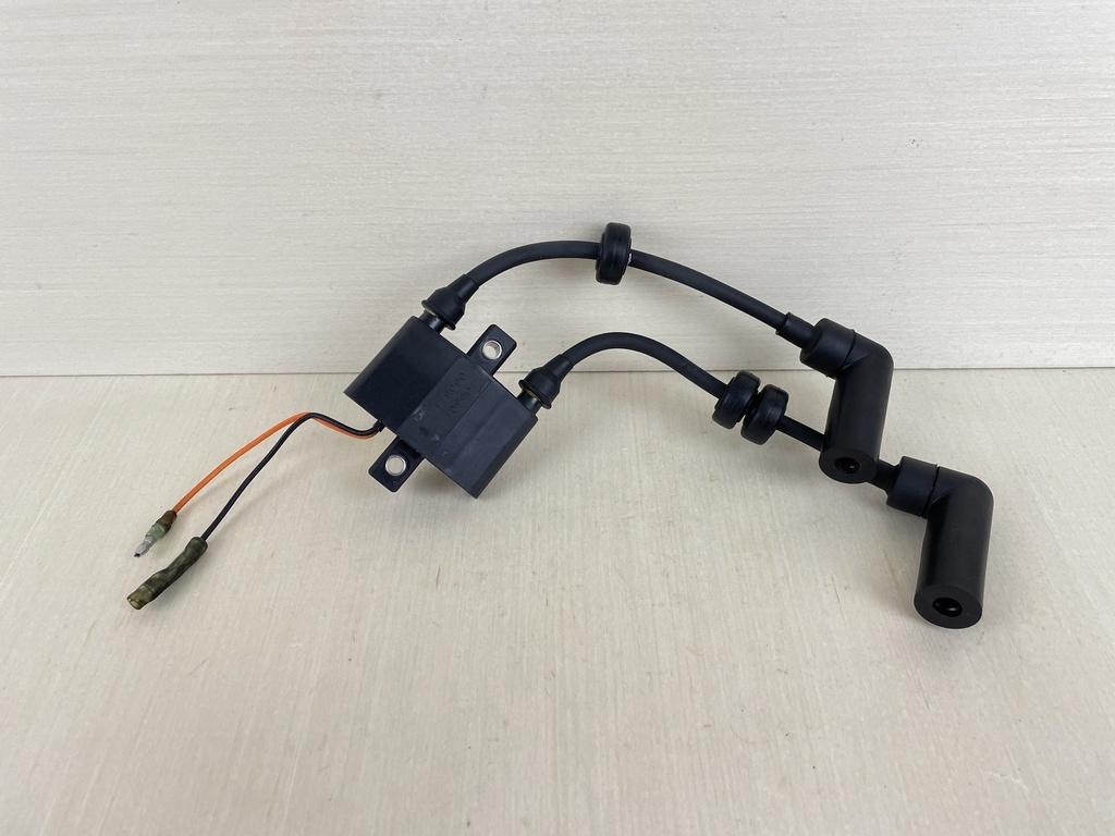 2007 Yamaha 20HP 4 Stroke Outboard Ignition Coil Assembly 6F5-85570-12-00