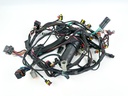 2009 Evinrude 150 HP 2 Stroke Outboard Engine Wire Harness 0587010 OEM