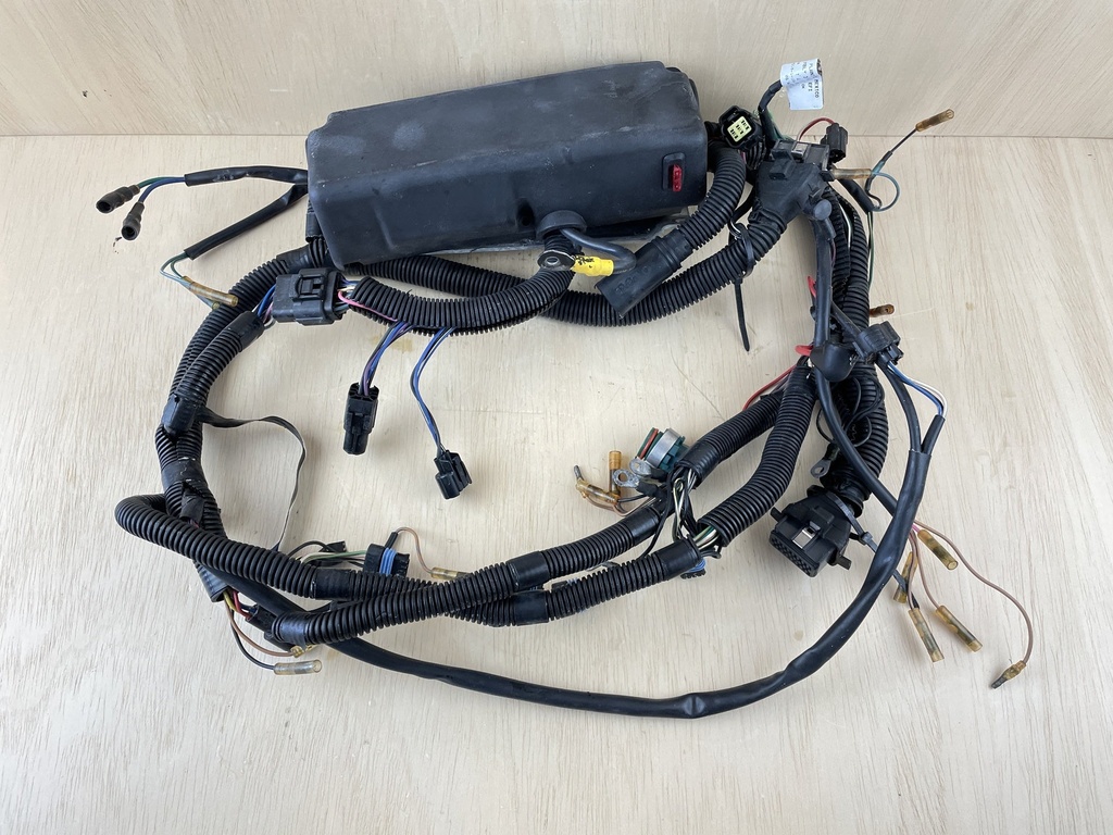 2001 Mercury 250HP 2 Stroke EFI Outboard Engine Wire Harness Assembly 825433A11