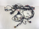 587003 0587003 Evinrude Etec 2 Stroke Outboard Engine Harness Assembly