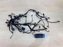2000 Evinrude Ficht 175HP Outboard Engine Wiring Harness Assembly 0586521