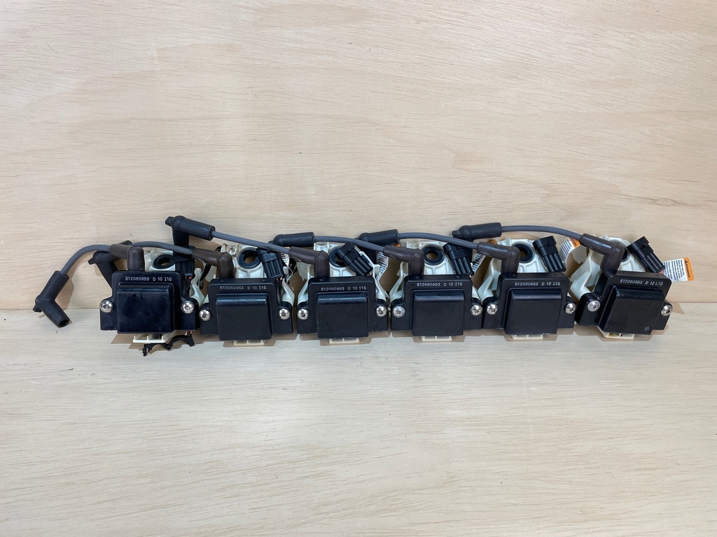 Evinrude Etec G2 200HP Outboard Ignition Coil Assemblys With Brackets Set of 6