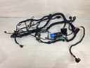 Evinrude Etec G2 200HP Outboard Engine Wiring Harness Assembly 0587320