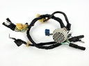 1996 Honda 50 HP 4 Stroke Outboard Engine Wire Harness 32520-ZV5-820 OEM