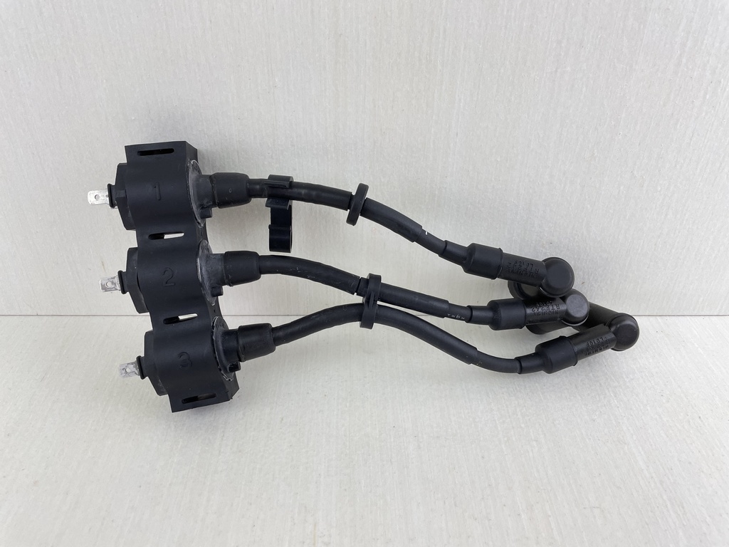 2002+ Honda 25 30 HP 4 Stroke Outboard Ignition Coil Assembly 30500-ZW2-F01