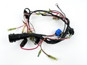 2003 Yamaha 70 HP 2 Stroke Outboard Engine Wire Harness 6H2-82590-13-00 OEM