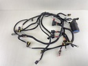2004-06 Evinrude 75 90 HP 2 Stroke Etec Engine Harness 0586764