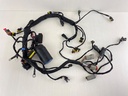 Evinrude 40 50 60 HP Etec AG Outboard Engine Wire Harness 0587286