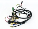 2004 Yamaha 150 HP 2 Stroke Outboard Engine Wire Harness 64D-82590-10-00 OEM
