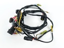 2005 Yamaha 150 HP 2 Stroke Outboard Engine Wire Harness 64D-82590-10-00 OEM