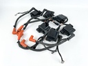 2014 Evinrude 200 HP 2 Stroke Outboard Ignition Coil Set 0586980 OEM