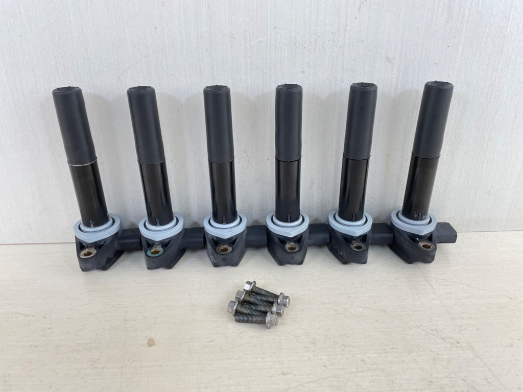 Mercury Verado Pencil Ignition Coil Assembly Set of 6 880615T01