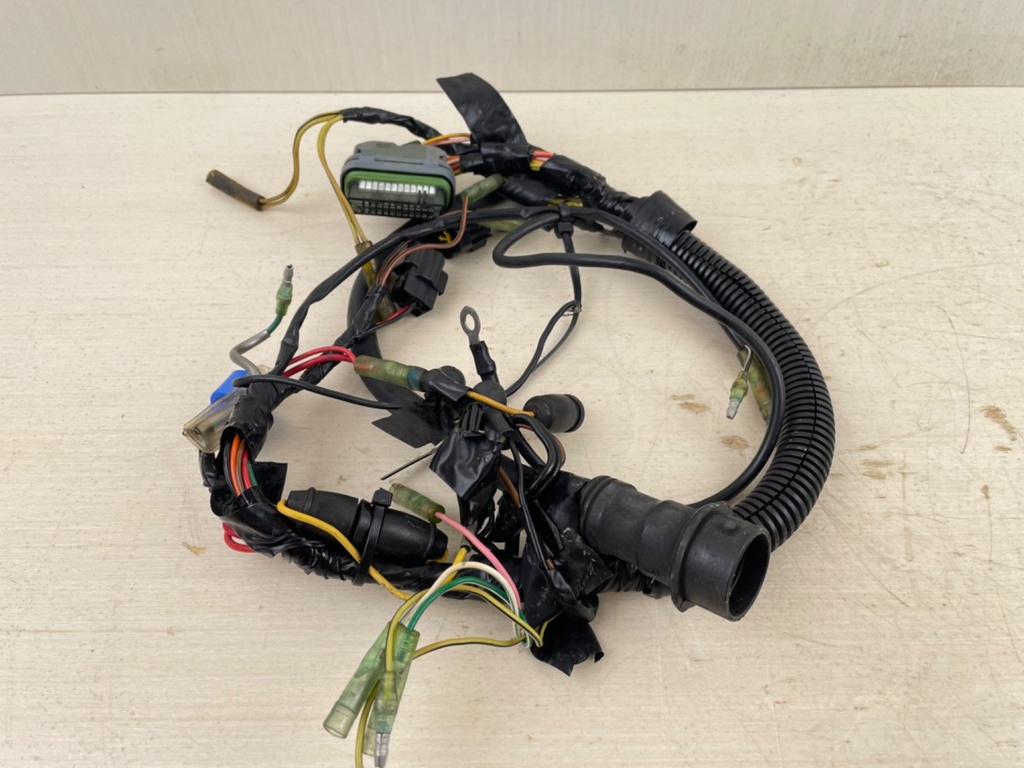 1999-2005 Yamaha 25HP 4 Stroke Outboard Engine Wire Harness 65W-82590-40-00
