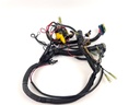 2001 Mercury 200 HP 2 Stroke Engine Wire Harness 857165T1 OEM Outboard