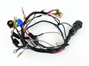 2004 Yamaha 90 HP 2 Stroke Outboard Engine Wire Harness 6H0-82590-80-00 OEM
