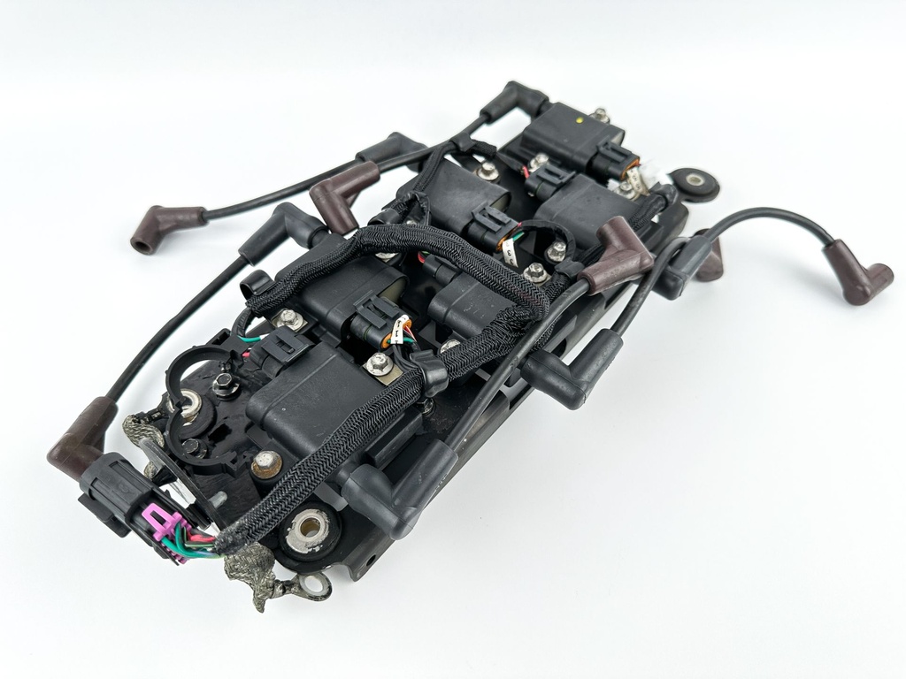 2015 Mercury 250 HP 2 Stroke Outboard Ignition Coil Set W/ Plate 879984A1 OEM