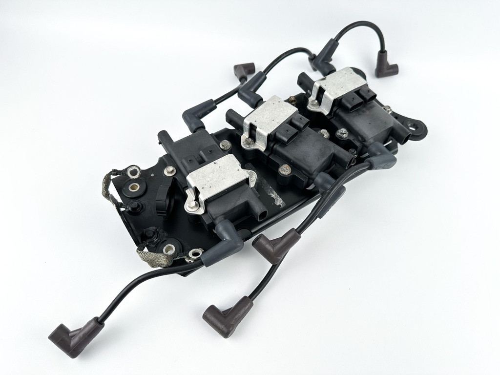 2005 Mercury 225 HP 2 Stroke Outboard Ignition Coil Set W/ Plate 856991A1 Tested