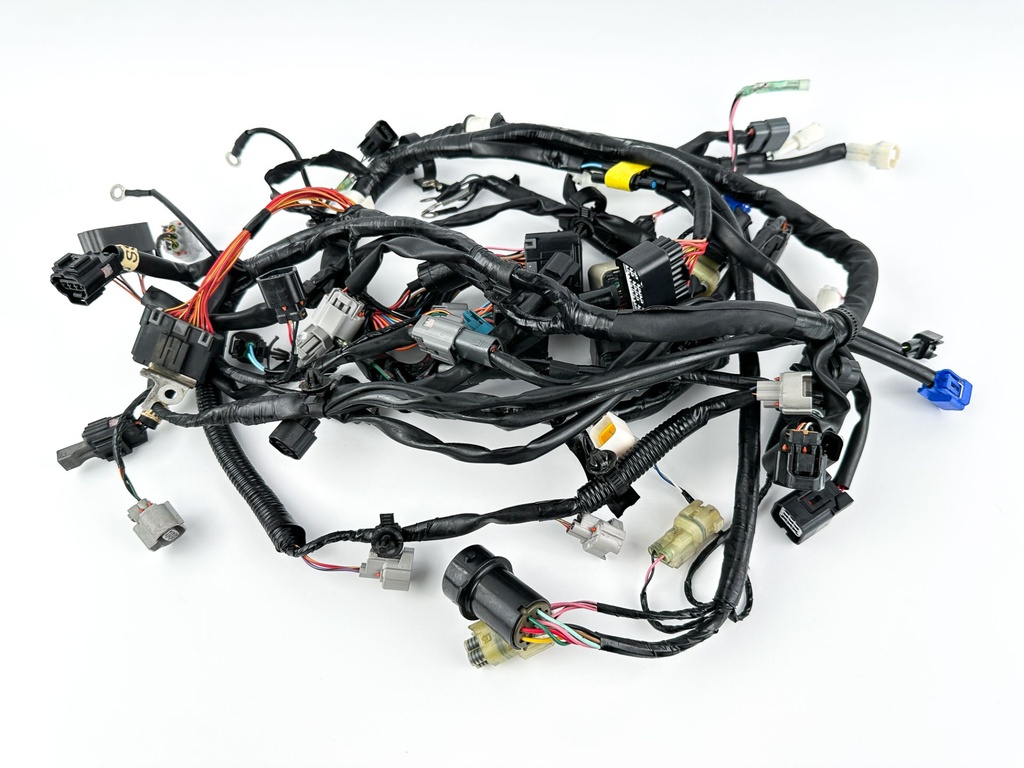 2017 Yamaha 200 HP 4 Stroke Outboard Engine Wire Harness 6DA-82590-20-00 OEM
