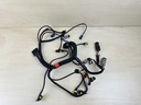 AF Evinrude Etec 25HP 2 Stroke Engine Wiring Harness Assembly 0587061
