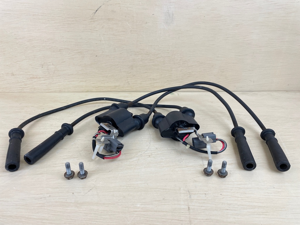 2005 Yamaha 150HP Outboard Engine Ignition Coil Assembly Pair 63P-82310-01-00