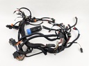 2003 Evinrude 225 HP 2 Stroke Ficht Outboard Engine Wire Harness 0586727 OEM