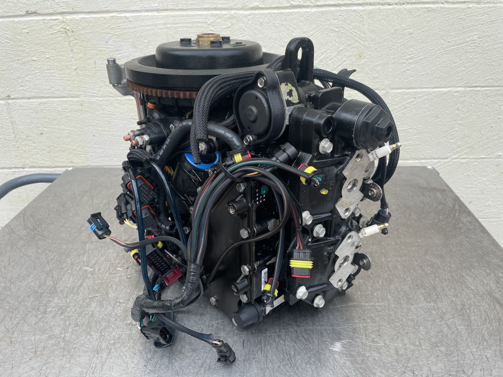 2011 Evinrude 50HP 2 Stroke Outboard Powerhead 5007396 - Tested