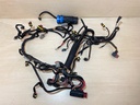 2007 Evinrude Etec 115HP Outboard Engine Wiring Harness Assembly 0586891