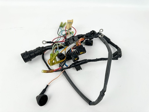 [035629] 2001 Yamaha 80 HP 4 Stroke Outboard Engine Wire Harness 67F-82590-01-00 OEM