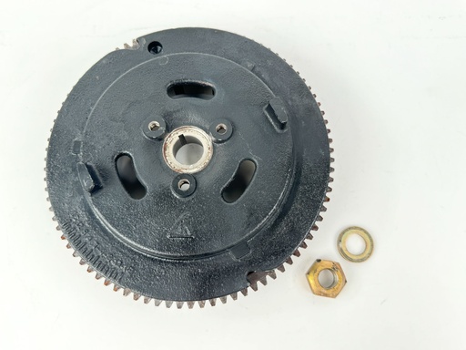 [035766] 2015 Evinrude 30 HP 2 Stroke Outboard Flywheel Rope Start 0587103 OEM