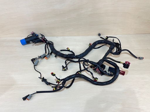 [2817] Evinrude 200HP 2 Stroke Engine Electrical Harness Assembly 0586769