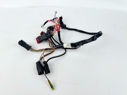 [038541] 1996 Evinrude 50 HP 2 Stroke Outboard Engine Wire Harness {mpn} OEM
