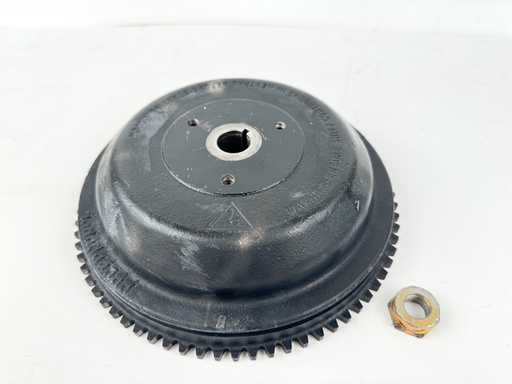[038557] 1996 Evinrude 50 HP 2 Stroke Outboard Flywheel {mpn} OEM