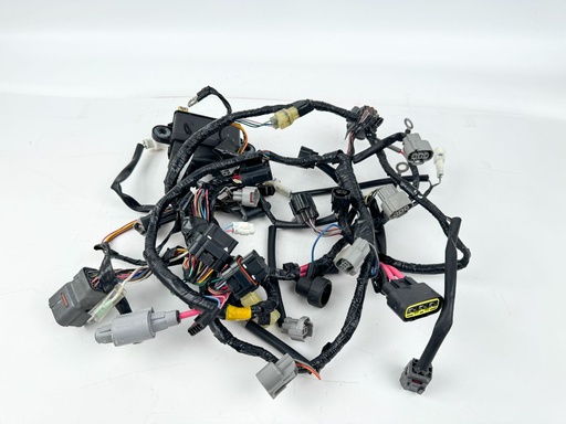 [009550] 2018 Suzuki 150 HP 4 Stroke Outboard Engine Wire Harness {mpn} OEM