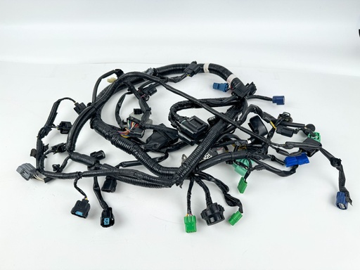 [038618] 2010 Honda 115 HP 4 Stroke Outboard Engine Wire Harness {mpn} OEM
