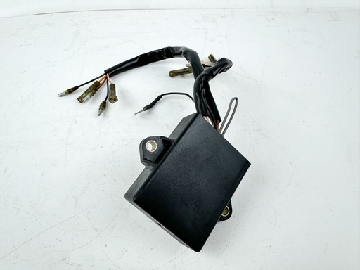 [012408] 2001 Yamaha 15 HP 4 Stroke Outboard C.D.I CDI Assembly {mpn} OEM