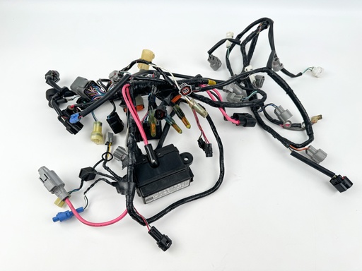 [012578] 2021 Suzuki 150 HP 4 Stroke Outboard Engine Wire Harness {mpn} OEM