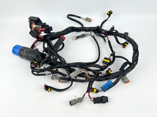 [013927] 2006 Evinrude 250 HP 2 Stroke Outboard Engine Wire Harness {mpn} OEM