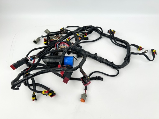 [014006] 2006 Evinrude 250 HP 2 Stroke Outboard Engine Wire Harness {mpn} OEM