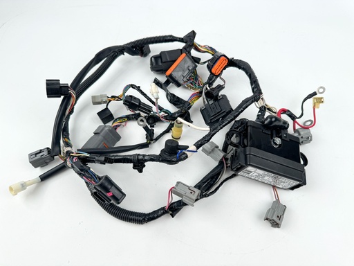 [015798] 2016 Suzuki 40 HP 4 Stroke Outboard Engine Wire Harness {mpn} OEM