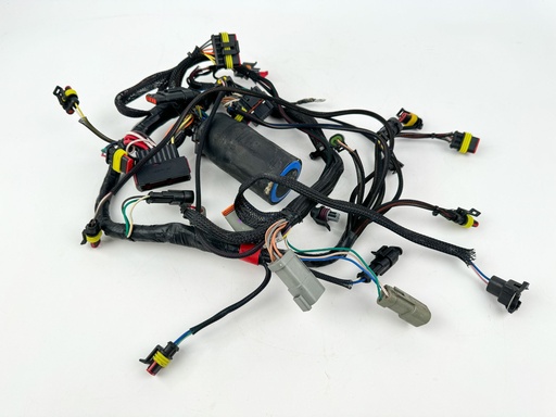 [013716] 2012 Evinrude 50 HP 2 Stroke Outboard Engine Wire Harness {mpn} OEM