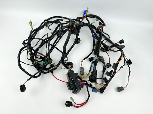 [016792] 2001 Yamaha 200 HP 2 Stroke Outboard Engine Wire Harness {mpn} OEM