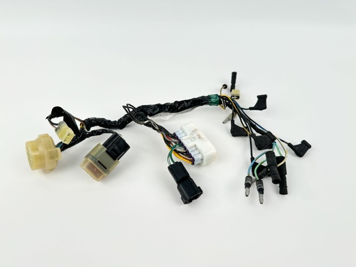 [017015] 2006 Honda 50 HP 4 Stroke Outboard Engine Wire Harness {mpn} OEM