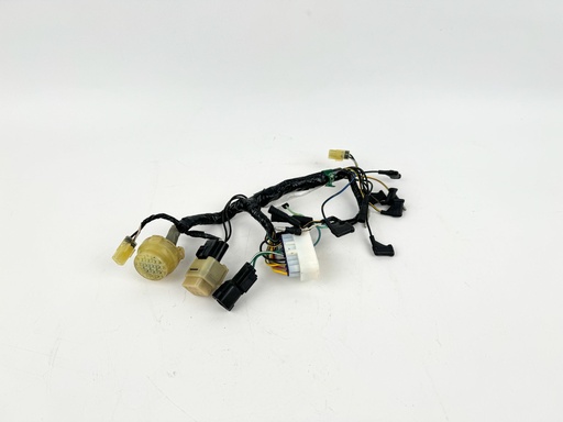 [018267] 2007 Honda 50 HP 4 Stroke Outboard Engine Wire Harness {mpn} OEM