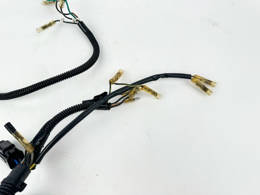 [021112] 1999 Mercury 30 HP 4 Stroke Outboard Engine Wire Harness {mpn} OEM