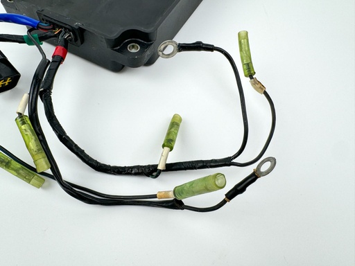 [022141] 1995 Yamaha 250 HP 2 Stroke Outboard C.D.I CDI Assembly {mpn} OEM