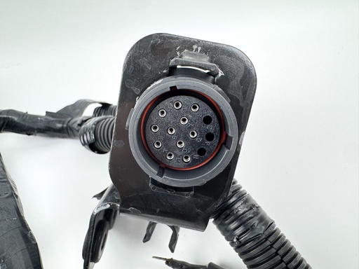 [025305] 2009 Mercury 200 HP 4 Stroke Outboard Engine Wire Harness {mpn} OEM