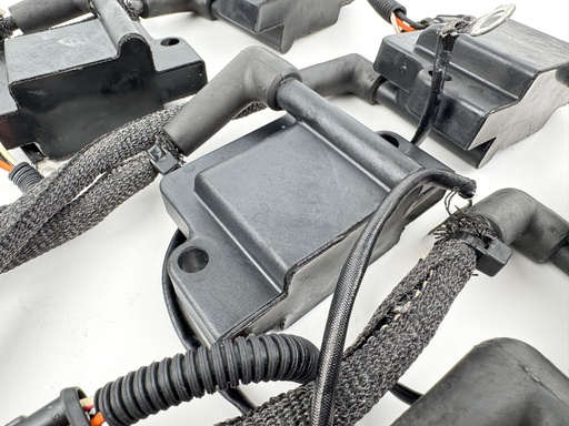 [025748] 2012 Evinrude 250 HP 2 Stroke Outboard Ignition Coil Set {mpn} OEM