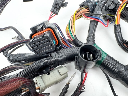 [025860] 2012 Evinrude 250 HP 2 Stroke Outboard Engine Wire Harness {mpn} OEM