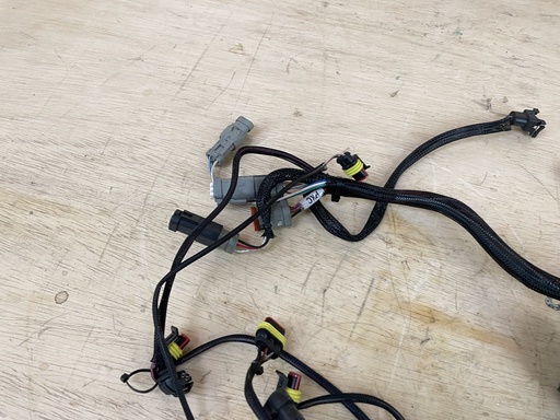 [2416] 2010 Evinrude 40HP Etec Outboard Engine Wiring Harness 0587050
