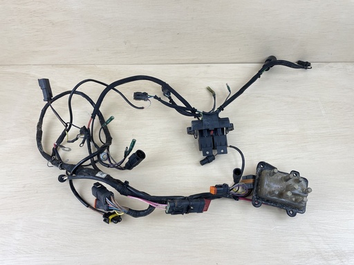 [3547] 1998 Evinrude 150HP Outboard 2 Stroke Wiring Harness Assembly 0586028